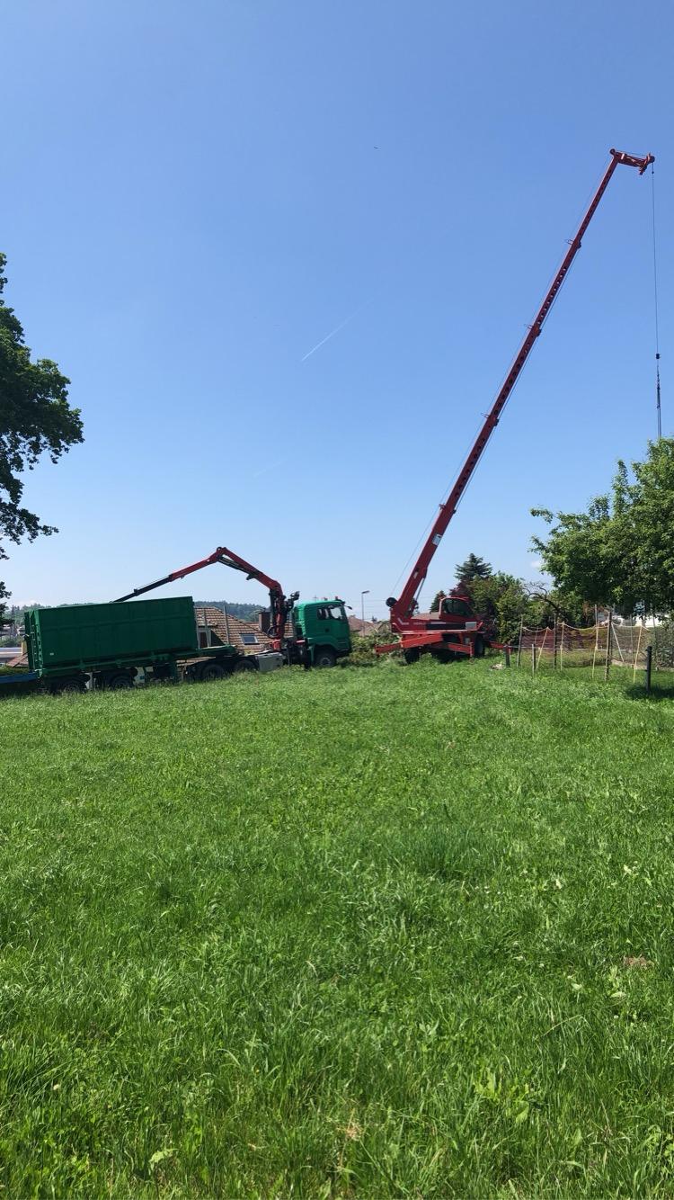 Évacuation de déchets verts par camion grue dans le Jura — SAS POLYVIER